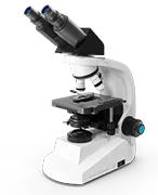 NG28